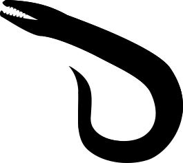 特集